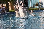 _MG_0437.jpg
