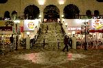 _MG_8225.jpg