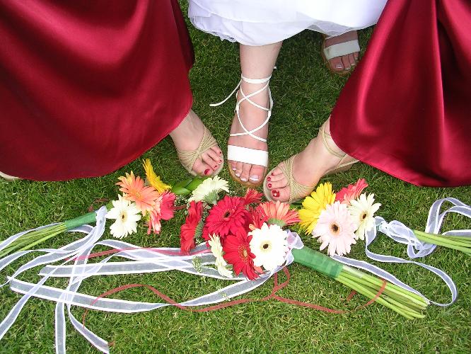 4 toes.jpg