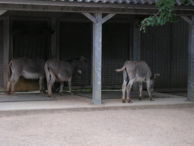 DSCN0401.JPG