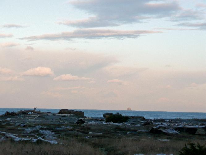 295.jpg