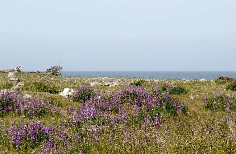 468.jpg