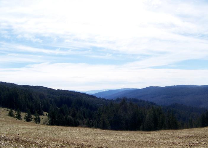 02-27-08 025.jpg