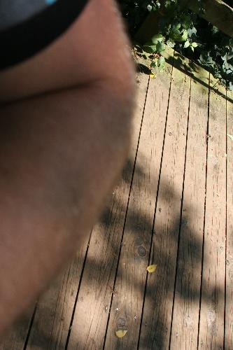 IMG_0805.JPG