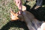 IMG_1454.JPG