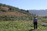 IMG_1466.JPG
