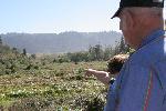 IMG_1468.JPG