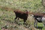 IMG_1470.JPG