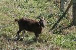 IMG_1472.JPG