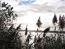 IMG_1372.JPG