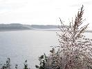 IMG_1374.JPG