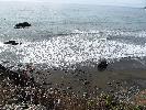 IMG_1512.JPG