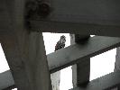 IMG_1548.JPG