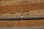 IMG_5550.JPG