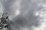 778C2689.JPG