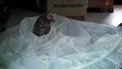IMG_20150220_144048_560.jpg