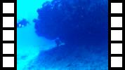 FHD0007.MOV