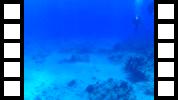 FHD0008.MOV