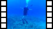 FHD0010.MOV