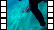 20150106_000409A.mp4