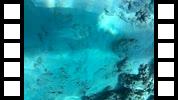 20150106_014725A.mp4