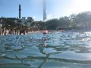 IMG_2119.JPG