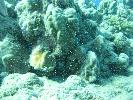 IMG_2129.JPG