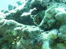 IMG_2132.JPG