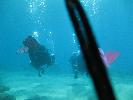 IMG_2134.JPG